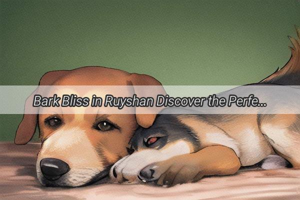 Bark Bliss in Ruyshan Discover the Perfect Pooch for this Coastal Haven